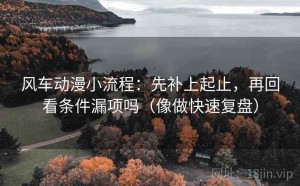 风车动漫小流程：先补上起止，再回看条件漏项吗（像做快速复盘）