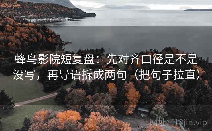 蜂鸟影院短复盘：先对齐口径是不是没写，再导语拆成两句（把句子拉直）