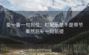 爱一番一句到位：盯配乐是不是带节奏然后补一句前提